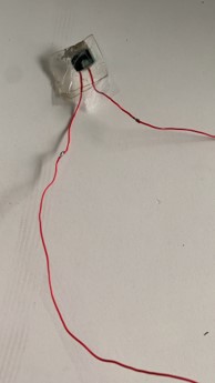 1722316730432727.jpg 1.3.jpg